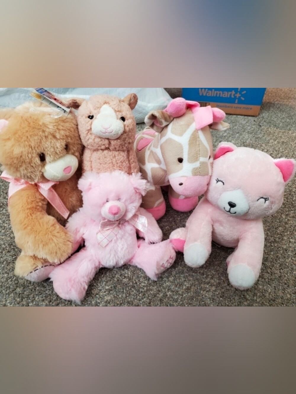 Stuffed Animals